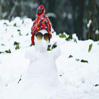 Enjoy Your Holidays In The Lap Of Nature!, Kullu 5